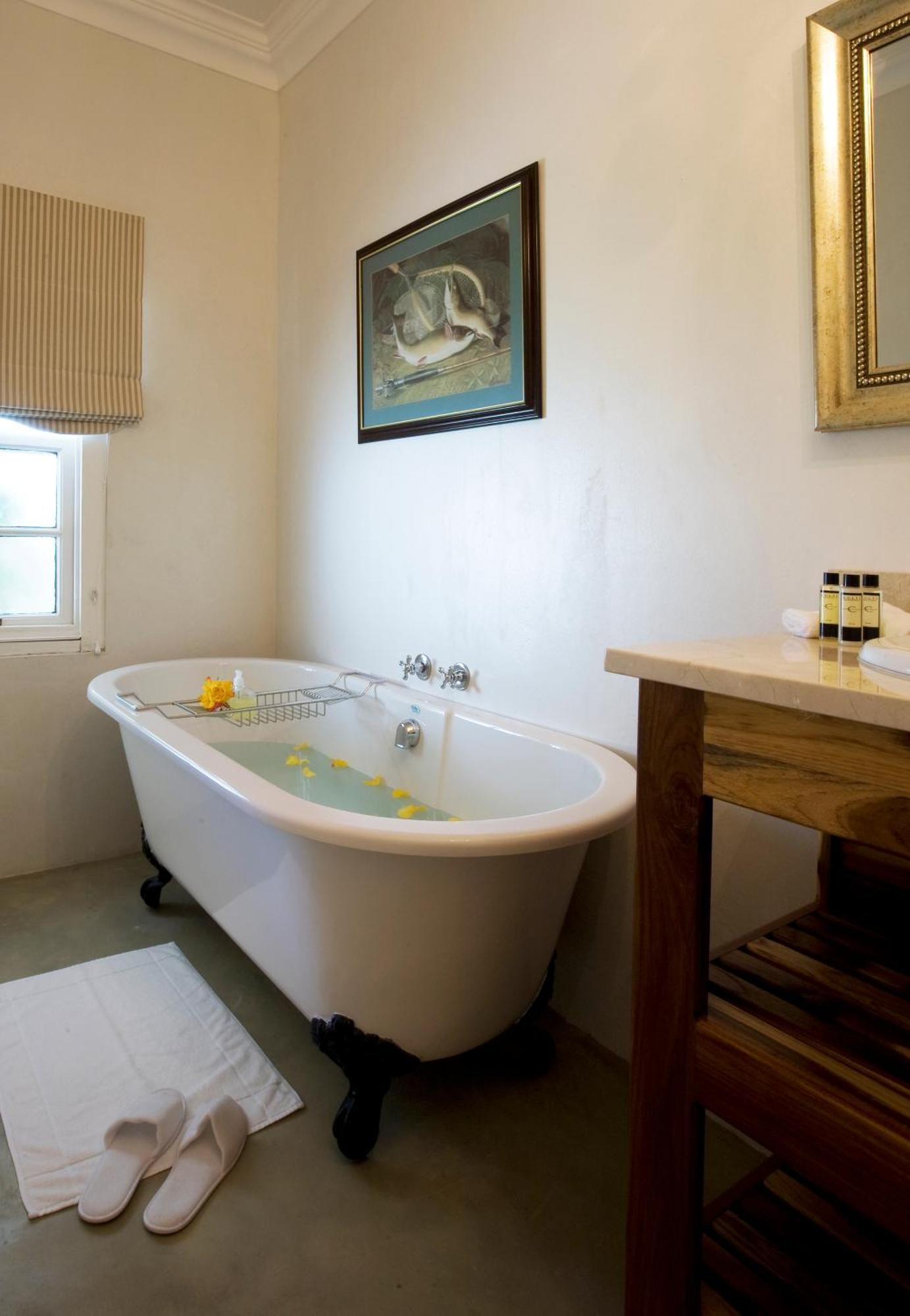Capeblue Manor House Otel Muizenberg Dış mekan fotoğraf